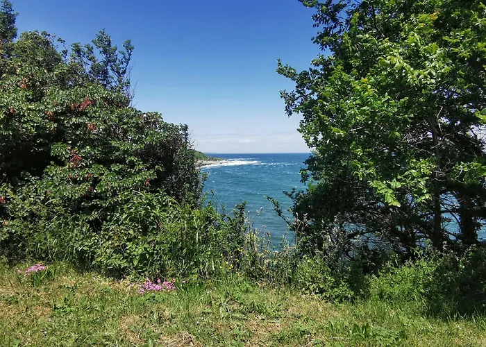 Timeless Sea * Tsarevo